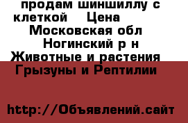 продам шиншиллу с клеткой  › Цена ­ 4 000 - Московская обл., Ногинский р-н Животные и растения » Грызуны и Рептилии   